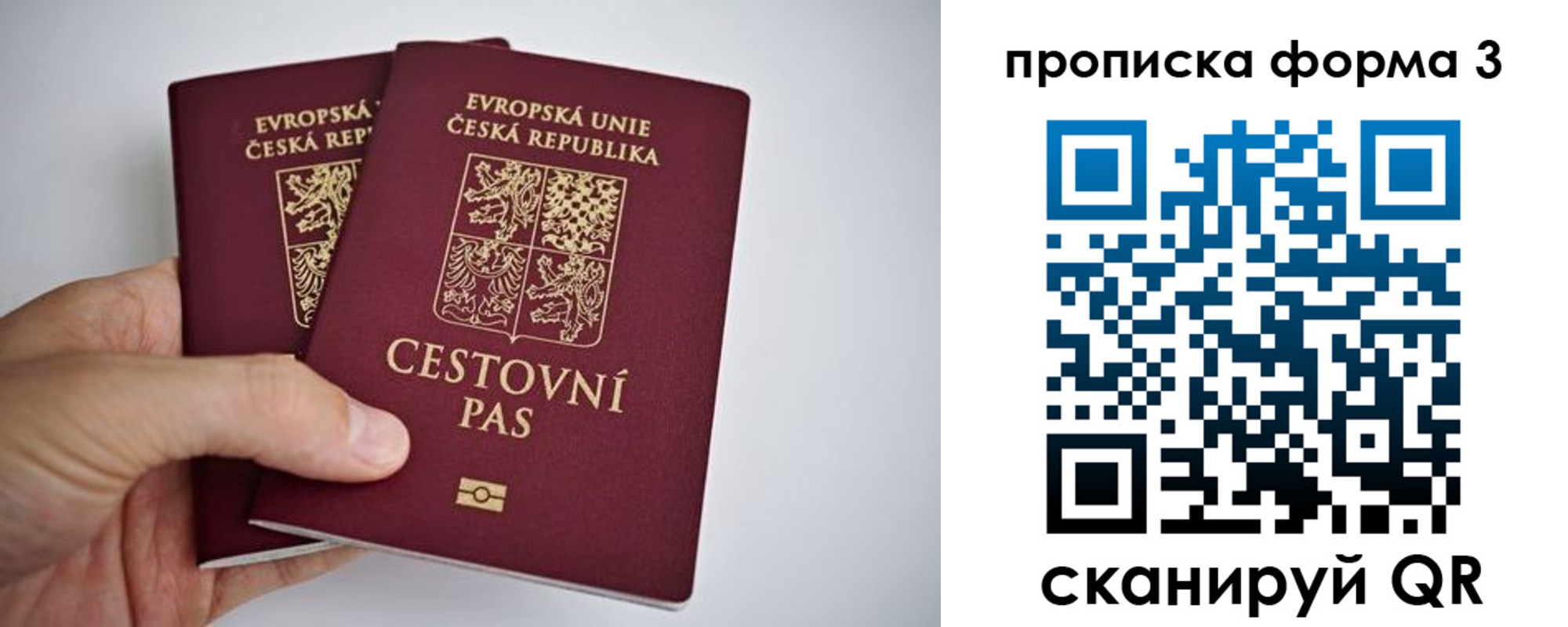 регистрация для школы в Гвардейске